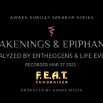 Awakenings & Epiphanies: Catalyzed by Entheogens and Life Events